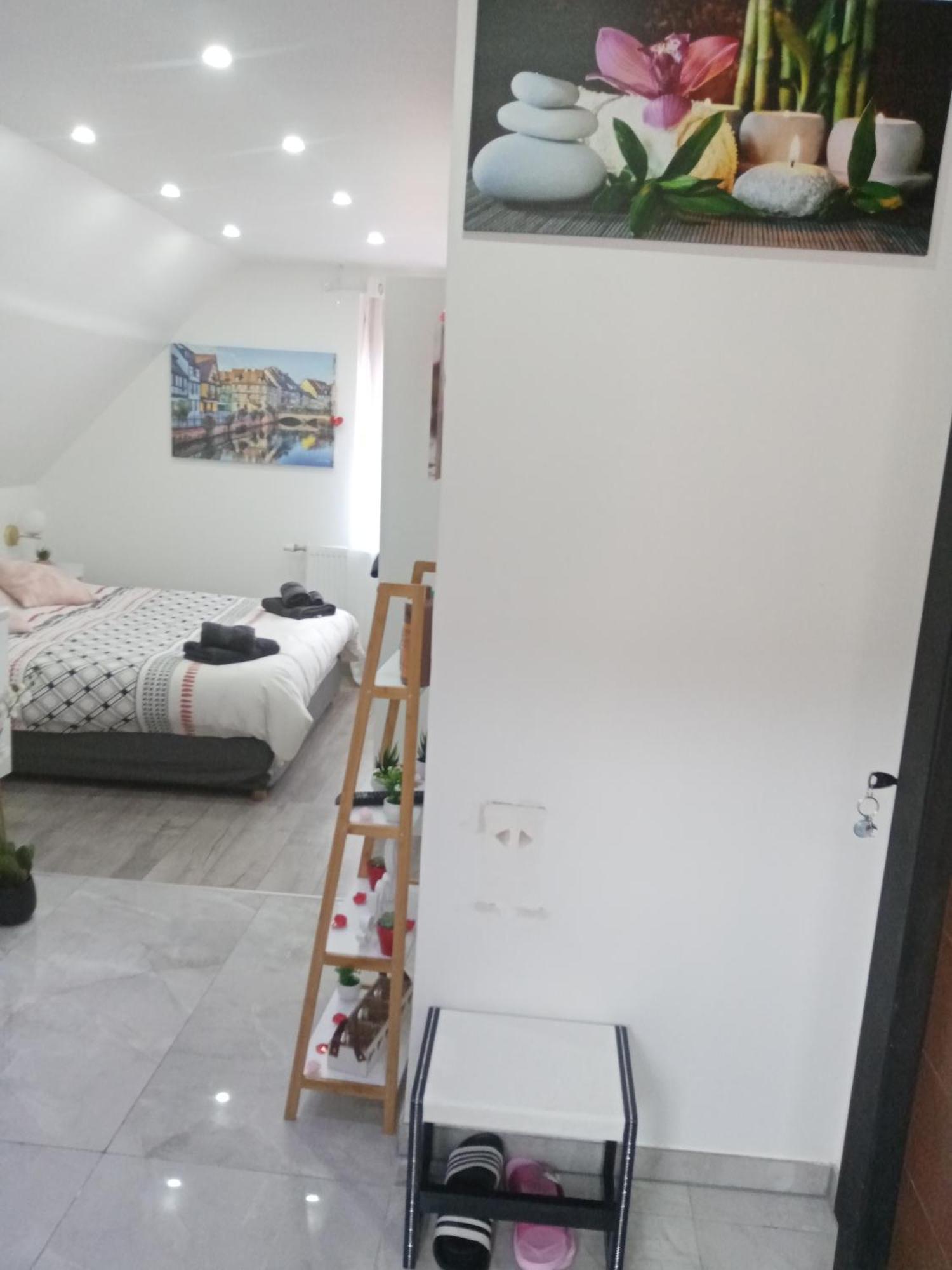 Studio Jacuzzi Au Centre Colmar Rom bilde